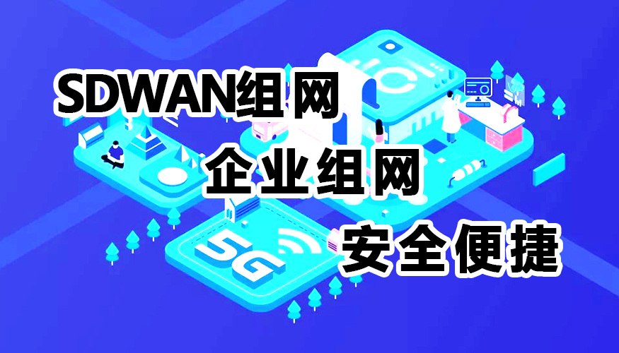 SD-WAN企业组网